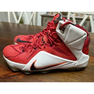 Nike Lebron 12 'Heart Of A Lion' size 10